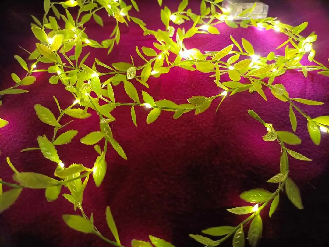 Picture of Artificial Chirol Leaf LED String Light 16 Feet – Battery Operated Decorative Fairy Light with 3 Lighting Modes for Bedroom, Wall, Balcony, Party & Home Decoration Gold