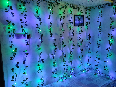 Picture of Curtain LED Lights with Artificial Vines Leaf Multi Color 10 String 8ft x 12ft USB Remote Fairy Lights Window Bedroom Wedding Party Home Decor Multicolor