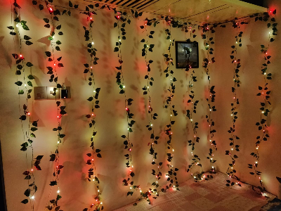 Picture of Curtain LED Lights with Artificial Vines Leaf Multi Color 10 String 8ft x 12ft USB Remote Fairy Lights Window Bedroom Wedding Party Home Decor Multicolor