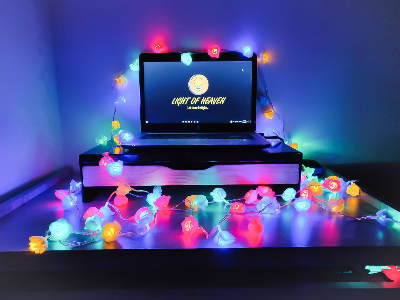 Picture of Rose Fairy LED String Lights with Rose Multi Color 80 LED 25ft 8 Lighting Modes Bedroom Wedding Party Home Room Decoration Fairy Lights Multicolor