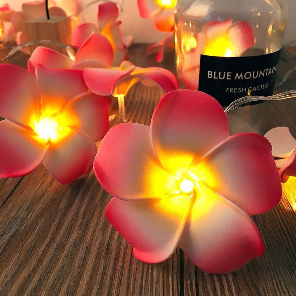 Picture of KathGulap Fairy Light Red & White – Decorative LED Flower Fairy Light for Home, Bedroom, Wall, Curtain, Party & Home Decor Lighting Multicolor