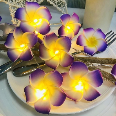 Picture of KathGulap Fairy Light Purple & White – Decorative LED Flower Fairy Light for Home, Bedroom, Wall, Curtain, Party & Home Decor Lighting Multicolor