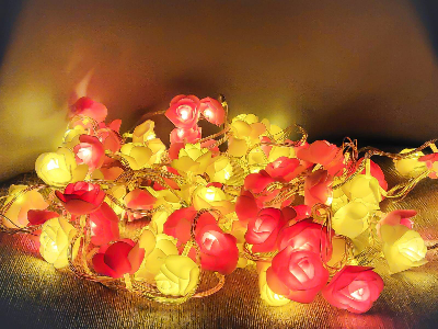 Picture of Golden Rose Fairy LED String Lights with Rose 80 LED 25ft 8 Lighting Modes Wedding Bedroom Room Party Home Decor Fairy Lights Gold