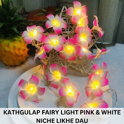 Picture of KathGulap Fairy Light Pink & White – Decorative LED Flower Fairy Light for Home, Bedroom, Wall, Curtain, Party & Home Decor Lighting Multicolor