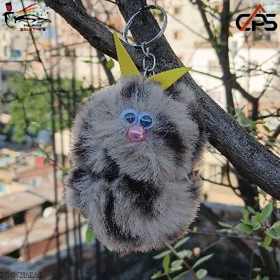 Picture of Key ring, Beautiful key ring, Ring, Key chain