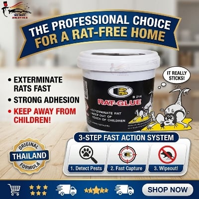 Picture of Bosny Rat Trapping Glue 400 ML, Bosny Rat Glue, Rat Glue
