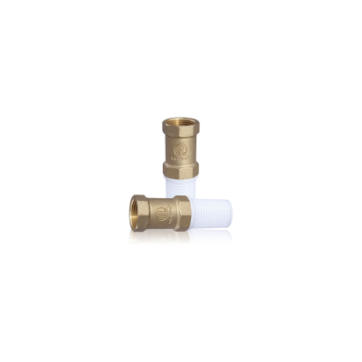 Picture of Brass Check Valve PS 1"