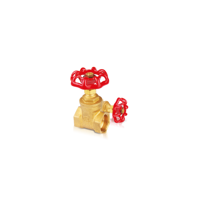 Picture of Brass Gate Valve 1.25"