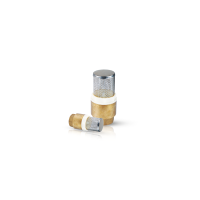 Picture of Brass Check Valve 1.25"