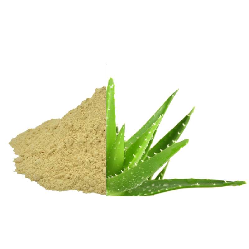 Picture of Pure Harvest Aloe Vera Powder (অ্যালোভেরা গুঁড়া) - 100gm