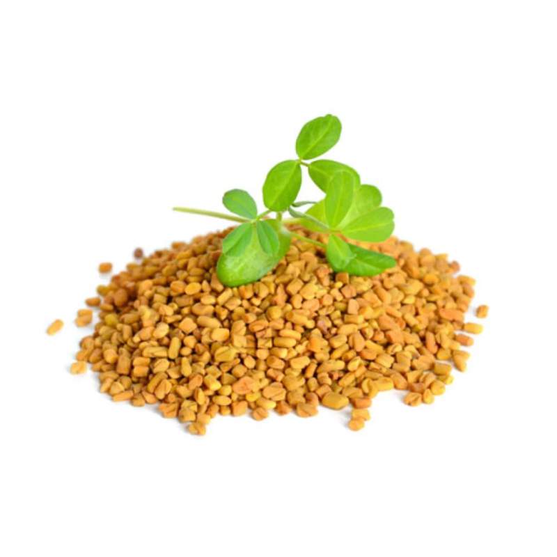 Picture of Pure Harvest Fenugreek Seed (মেথি দানা) - 100gm