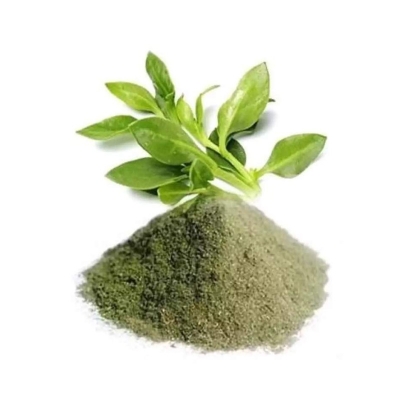 Picture of Pure Harvest Kalmeg Powder ( কালোমেঘ গুড়া) - 250gm