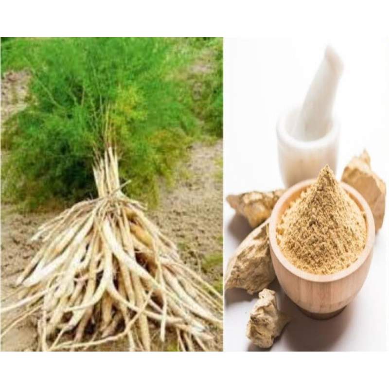 Picture of Pure Harvest Sotomul Powder (শতমূল গুঁড়া) - 250gm