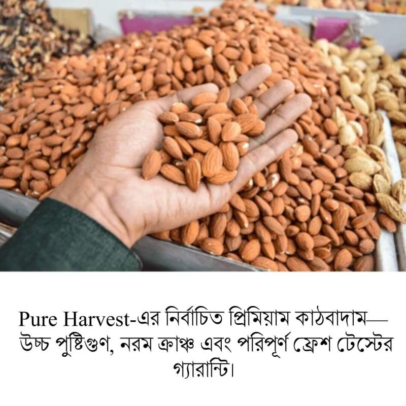 Picture of Pure Harvest Almond-Kathbadam (কাঠ বাদাম) – 250gm