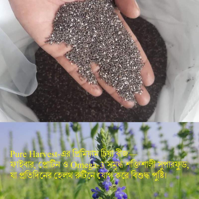 Picture of Pure Harvest Chia Seeds (চিয়া বীজ) – 500gm