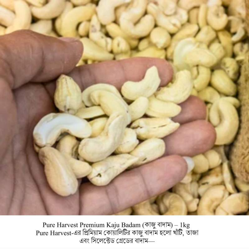Picture of Pure Harvest Kaju Badam (কাজু বাদাম) – 500gm