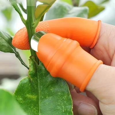 Picture of Silicone Finger Protector for vegetables cutting Orange