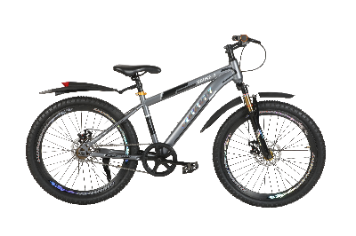 Picture of Duranta steel 1 speed 24 Inch Drone-07 Grey Bicycle