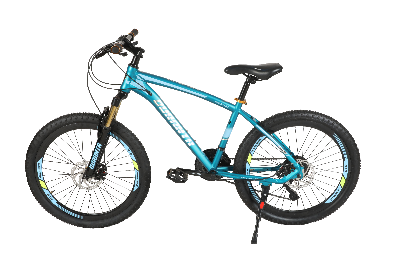 Picture of Duranta steel 21 speed 24 Inch Mission-02 Peacock Bicycle