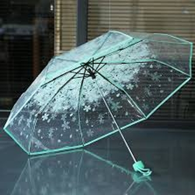 Picture of Transparent Flower Design Folding Women Fashion Umbrella