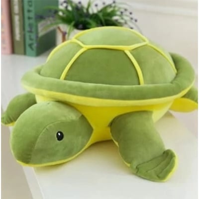 Picture of Cute Turtle Plush Toy & Soft Cushion Pillow-Same as Picture