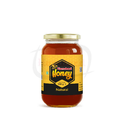 Picture of Hamdard Honey-500 gm