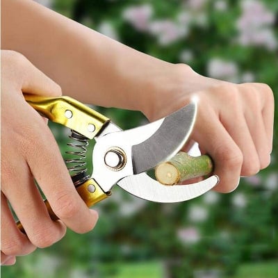 Picture of Garden Pruning Heavy Duty Hand Pruner with Sharp SK5 Steel Blade for Plants & Flowers - Multicolor