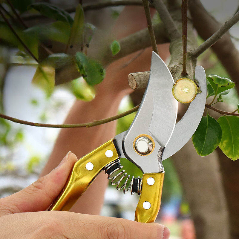 Picture of Garden Pruning Heavy Duty Hand Pruner with Sharp SK5 Steel Blade for Plants & Flowers - Multicolor