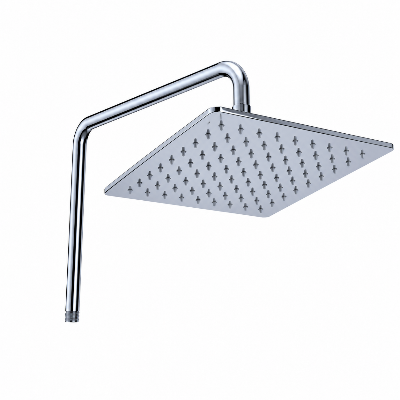 Picture of SS WALL SHOWER 6"
