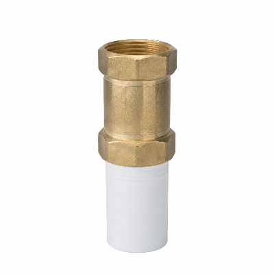 Picture of Check  Valve 3/4"