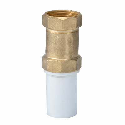Picture of Check Valve 1"