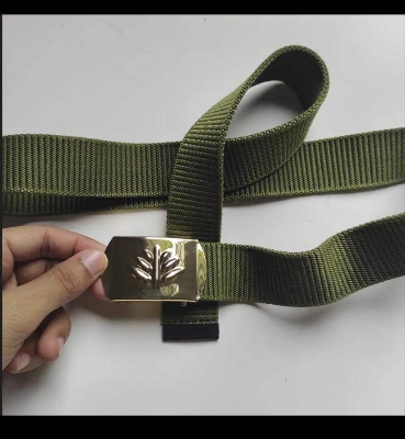 Picture of Olive Fabric Men's Belt with Metal Buckle