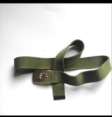 Picture of Olive Fabric Men's Belt with Metal Buckle
