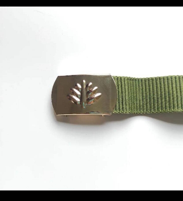 Picture of Olive Fabric Men's Belt with Metal Buckle