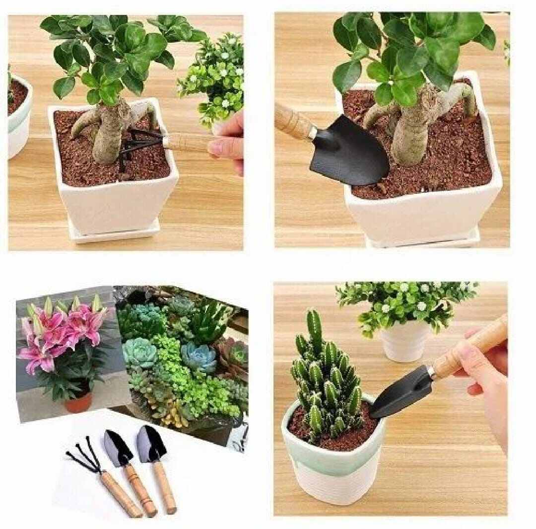 Picture of 3-Piece Mini Gardening Hand Tool Set-Multicolor