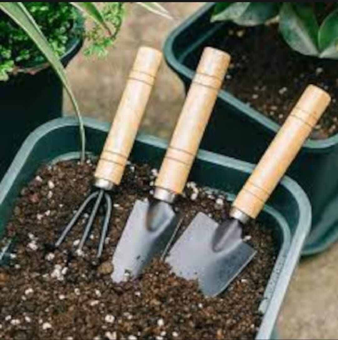 Picture of 3-Piece Mini Gardening Hand Tool Set-Multicolor