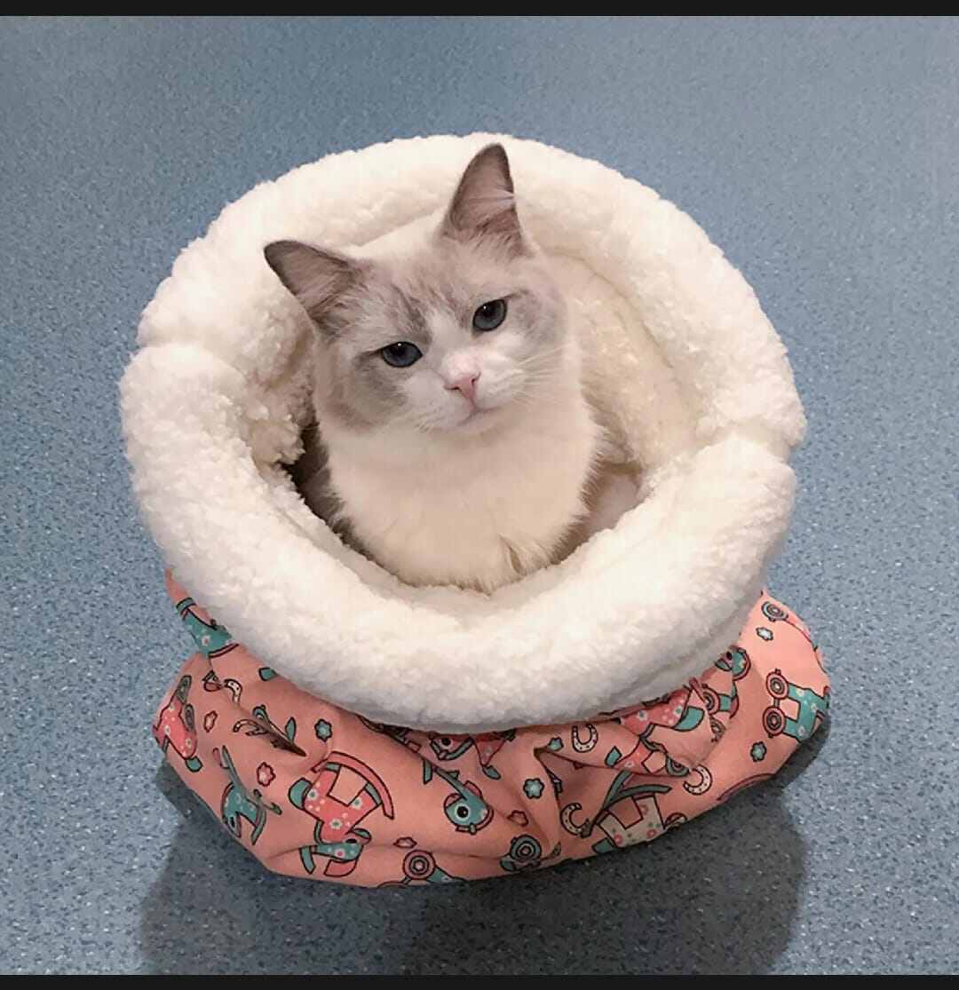 Picture of Soft Warm Cat Sleeping Bag & Tunnel Bed for 2.5-7kg Cats-Multicolor