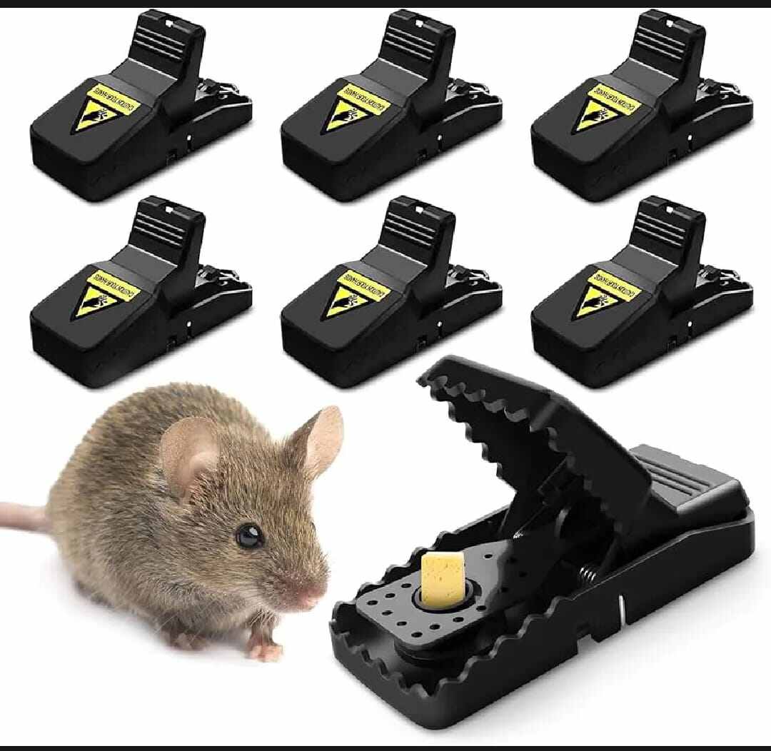 Picture of Reusable Indoor Mouse & Rat Trap - 5×3×3 Inches-Black