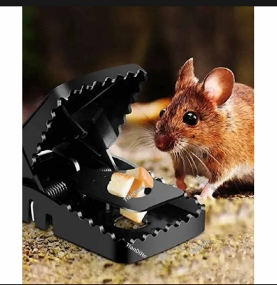 Picture of Reusable Indoor Mouse & Rat Trap - 5×3×3 Inches-Black