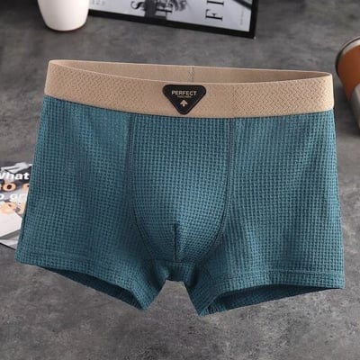 Picture of Ice Silk Thin Breathable Summer Fashionable Men's Underwear (Blue (75-85 kg),Int:XXXL)