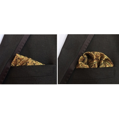 Picture of Men’s Luxury Paisley Pocket Square – Polyester Yarn Handkerchief for Suit & Blazer (25 x 25 cm, 1 Pc) (FE-01,Int: One size)