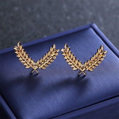 Picture of Fashion Suit Shirt Collar Pin Brooch Pair For Men & Women Outfit Jewelry (2PS) (Gold)
