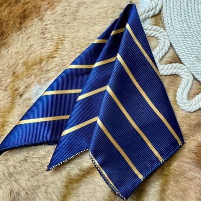 Picture of Luxury Fashionable Neck Tie + Matching Pocket Square Set for Men (1 Set) (Golden Strip Blue,Int: One size)