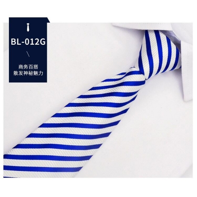 Picture of Readymade Zipper Multicolor Formal Tie for Men – Easy Wear Neck Tie (47 x 7 cm, 1 Pc) (BL-0012G,Int: One size)