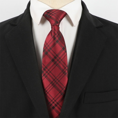 Picture of High Quality Readymade Zipper Multicolor Neck Tie For Men (1p) (YT025,Int: One size)
