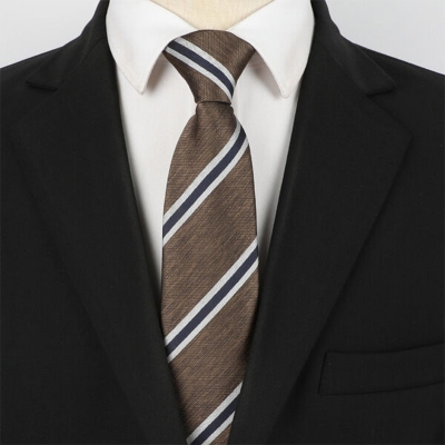 Picture of High Quality Readymade Zipper Multicolor Neck Tie For Men (1p) (YT009,Int: One size)