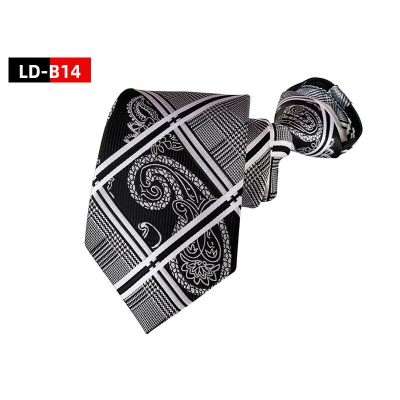 Picture of High Quality Readymade Zipper Multicolor Neck Tie For Men (1p) (LD-B14,Int: One size)