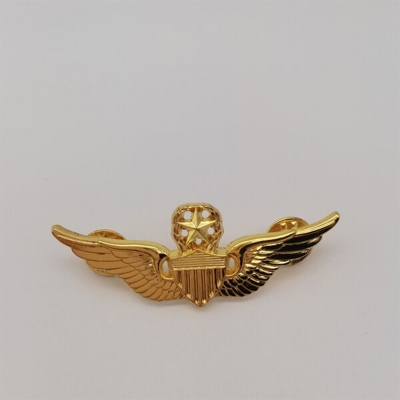 Picture of Wings Star Metal Badge Brooch For Men Fashion Accessories (Badge 2 Gold)