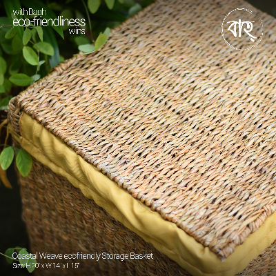 Picture of Baah Store Ltd  Coastal Weave ecofriendly Storage Basket-natural