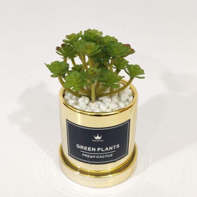 Picture of Artificial Succulent Arrangement with Ceramic Type Pot Gold